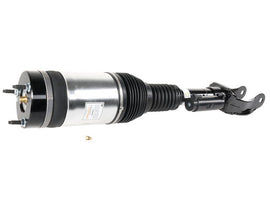 Air Suspension Strut - AM42 EuroCars