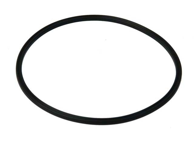 Fuel Pump Assembly O-Ring