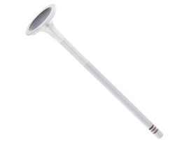 Exhaust Valve