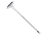 Exhaust Valve