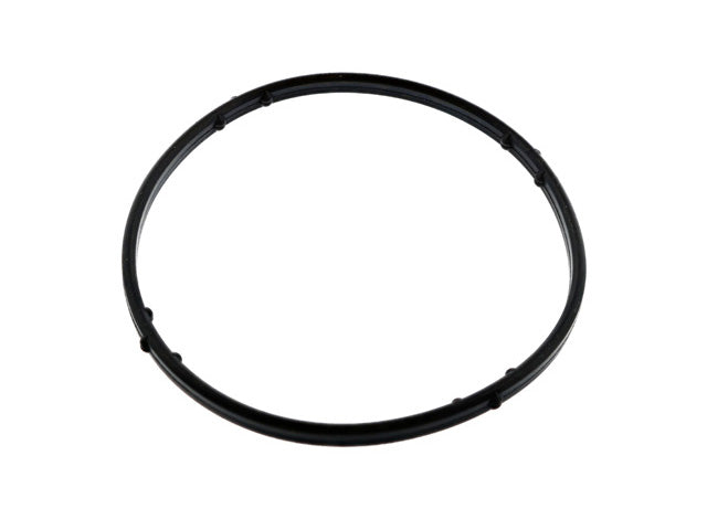 Thermostat O-Ring