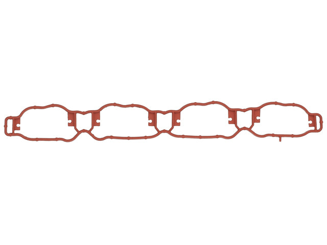 Intake Manifold Gasket