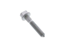 Strut Bolt