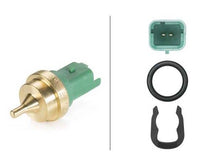 Load image into Gallery viewer, Temperature Sensor