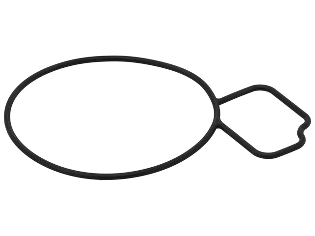 Water Pump Gasket