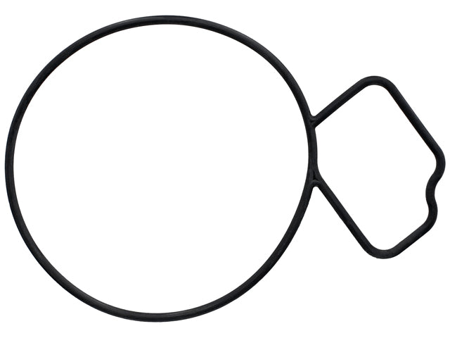 Water Pump Gasket