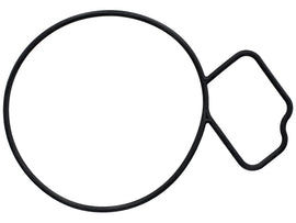 Water Pump Gasket