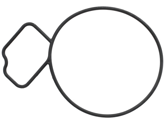 Water Pump Gasket