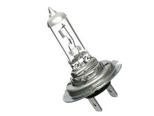 Load image into Gallery viewer, Bulb
