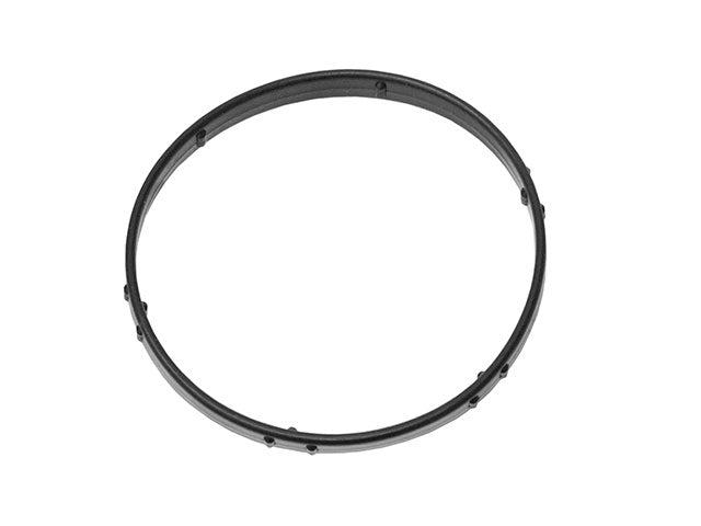 Thermostat Seal