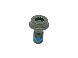Flywheel Bolt