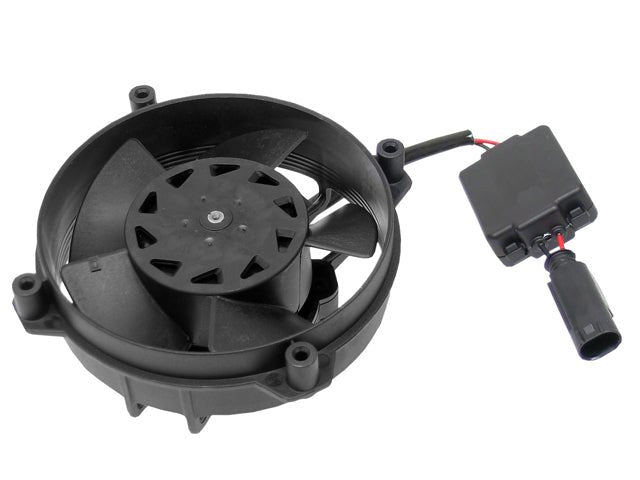 Fan - AM42 EuroCars
