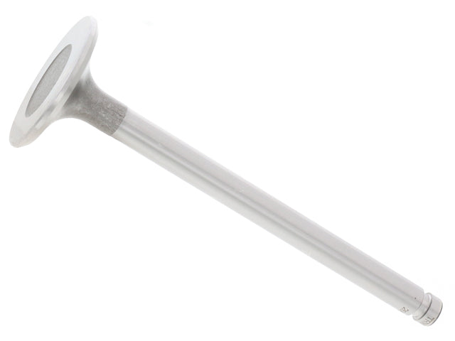 Intake Valve