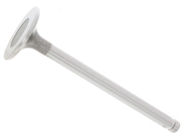 Intake Valve