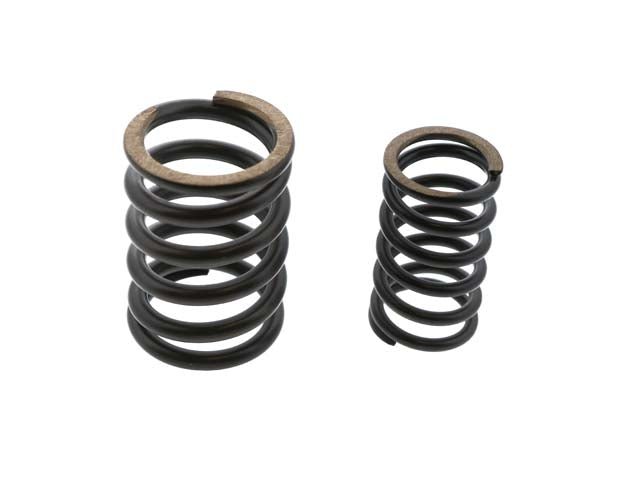 Valve Spring Set - AM42 EuroCars