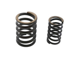 Valve Spring Set - AM42 EuroCars