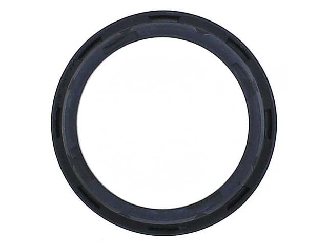 Thermostat Seal