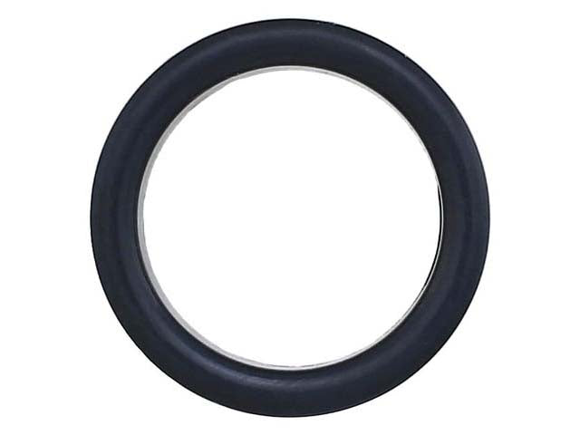 Thermostat Seal
