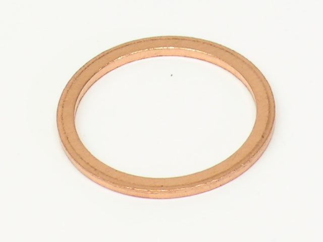 Oil Drain Plug Seal
