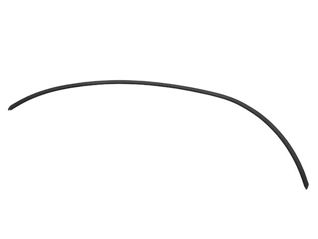 Windshield Moulding