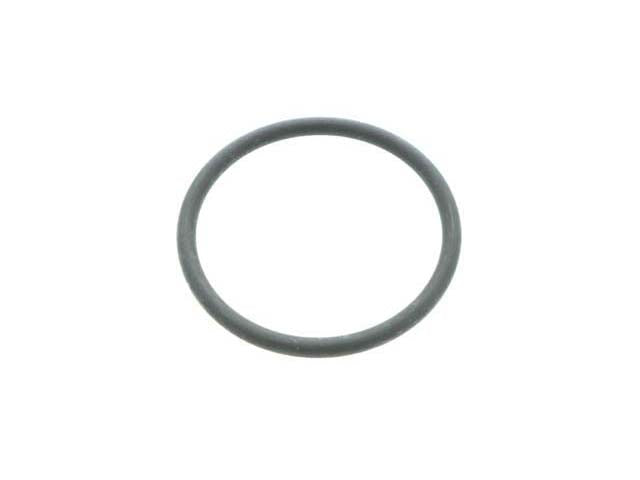 Fuel Strainer O-Ring