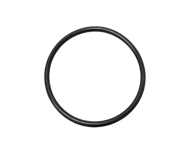 Thermostat Seal