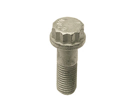 Brake Caliper Bolt