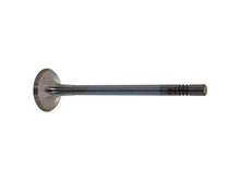 Load image into Gallery viewer, Intake Valve