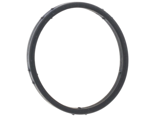 Water Pump O-Ring
