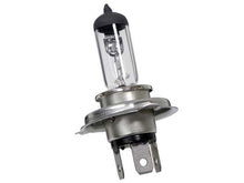 Load image into Gallery viewer, Bulb