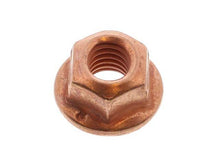 Load image into Gallery viewer, Nut