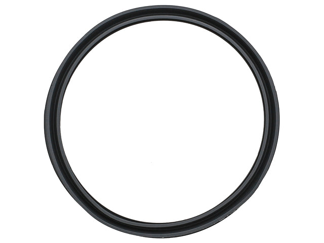 Sealing Ring
