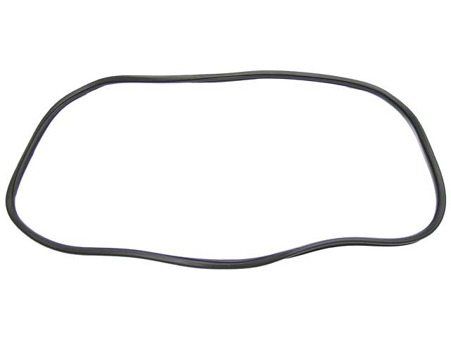 Windshield Seal