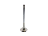 Exhaust Valve