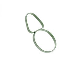 Intake Manifold Seal