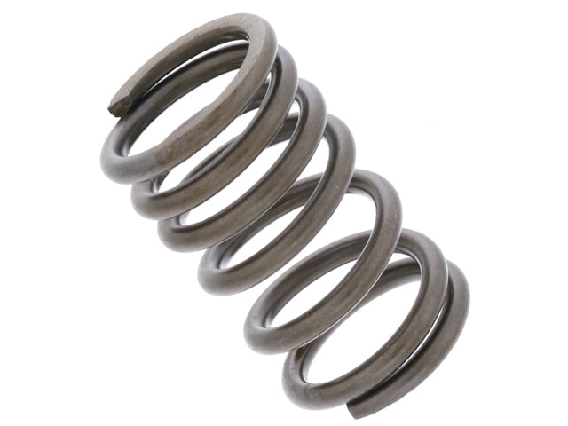 Valve Spring