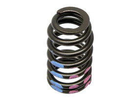 Valve Spring