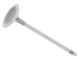Intake Valve