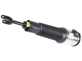 Air Strut - AM42 EuroCars