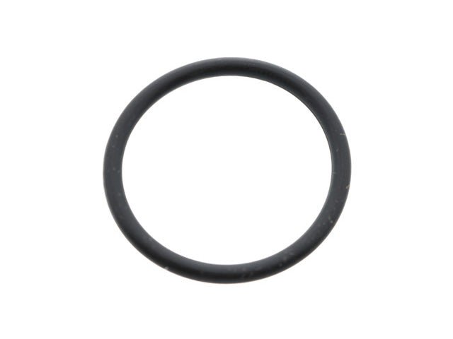 Water Pump O - Ring - AM42 EuroCars
