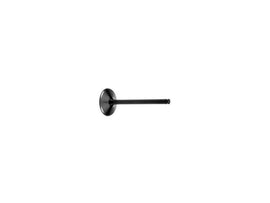 Intake Valve