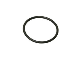 Intake Manifold Seal