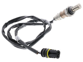 Oxygen Sensor - AM42 EuroCars