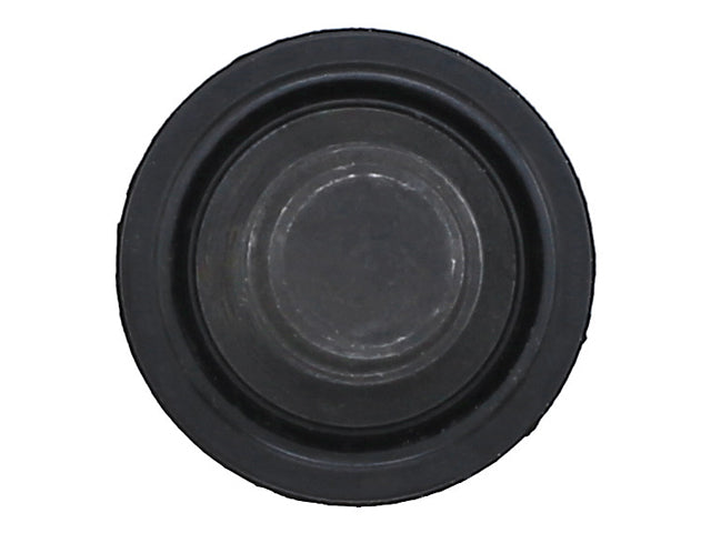 Engine Oil Drain Plug