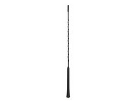 Radio Antenna Mast