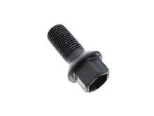 Load image into Gallery viewer, Lug Bolt