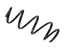 Load image into Gallery viewer, Coil Spring