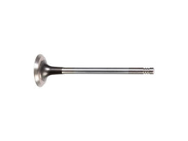 Exhaust Valve