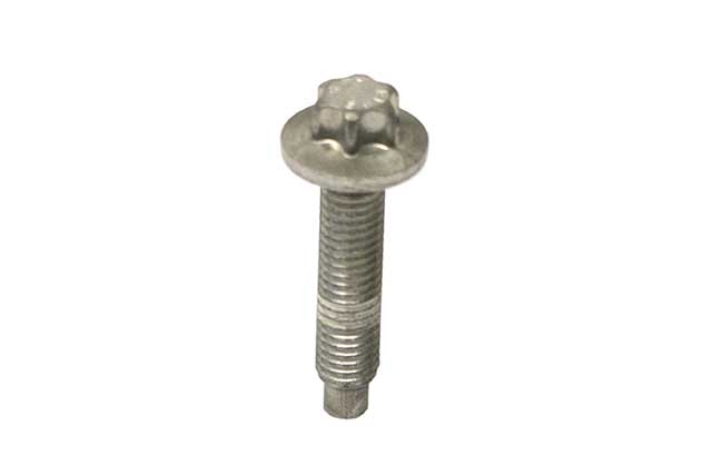 Engine Oil Pan Bolt