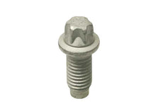Load image into Gallery viewer, Torx Bolt